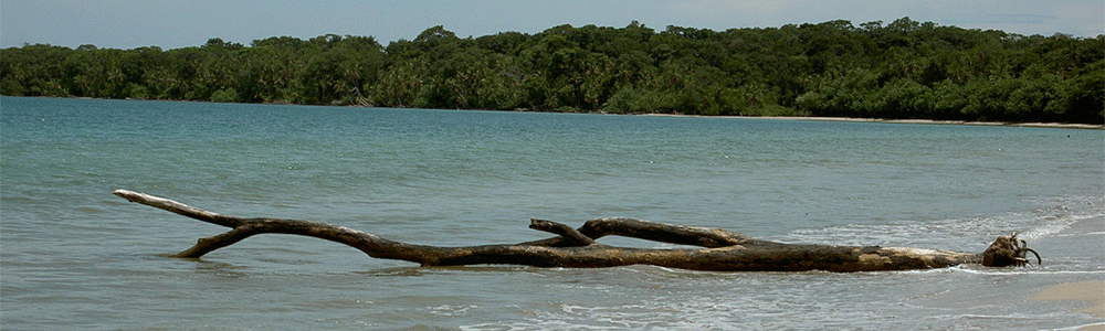 Cahuita Nationalpark